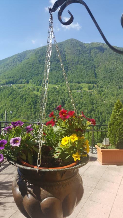 Cedarwood Bed & Breakfast Premana Eksteriør bilde